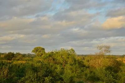 DSC_4330 (Large).JPG